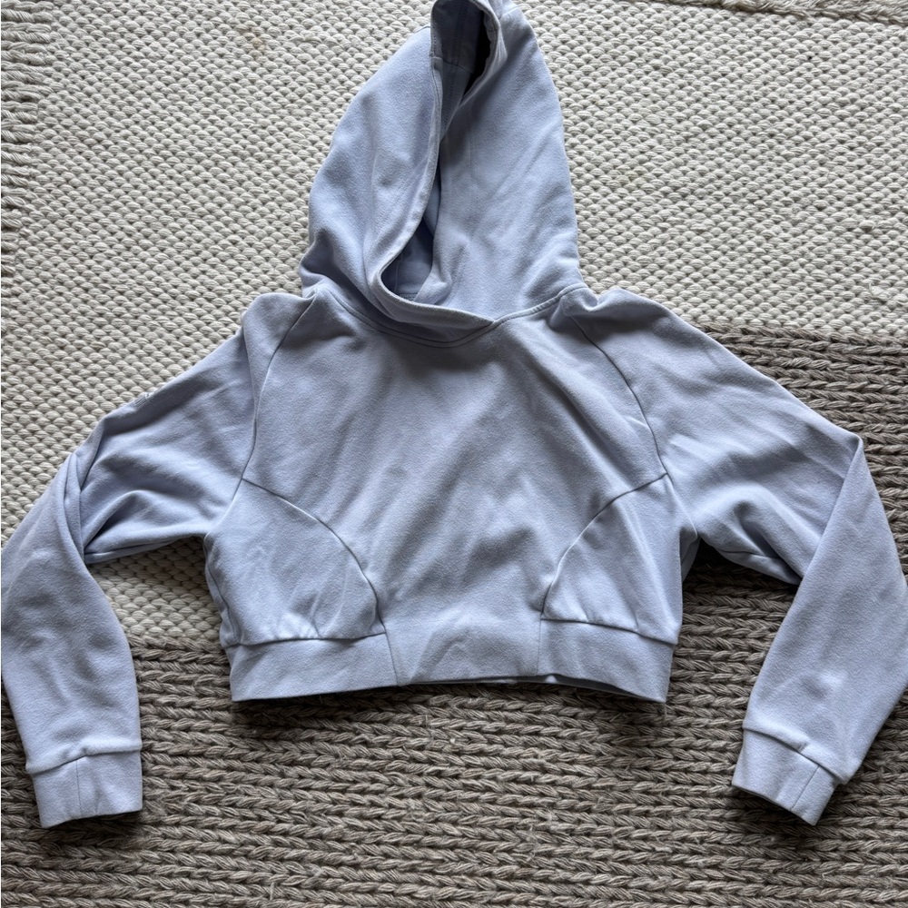 Alphalete Periwinkle Cropped Hoodie